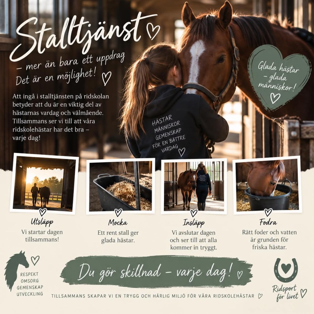 🐴 Stalltjänst – en viktig del av hästarnas vardag ❤️

Att ingå i stalltjänsten är mer än att hjälpa till i stallet – du blir en viktig del av våra ridskolehästars välmående och vardag!

Tillsammans hjälps vi åt med insläpp, utsläpp, mockning, fodring och ser till att hästarna får den omsorg de förtjänar. Samtidigt får du lära känna hästarna på ett helt annat sätt och få mer kunskap om vad det faktiskt innebär att ta hand om en häst.

Stalltjänsten är fredag kväll, lördag kväll, söndag morgon och söndag kväll – och ju fler vi är som hjälps åt, desto lättare och roligare blir det. 🌿

Gemenskap, hästkunskap och tid med våra fantastiska hästar – samtidigt som du gör verklig skillnad. ❤️🐴

Vill du vara med? 🙋‍♀️🐴

Anmäl dig till stalltjänsten och bli en del av gänget! Du behöver inte kunna allt från början – vi hjälps åt och lär av varandra.

👉 Anmälan görs via mejl till lammhultsrk@gmail.com 

Hästarna behöver oss – och tillsammans gör vi deras vardag lite bättre! ❤️